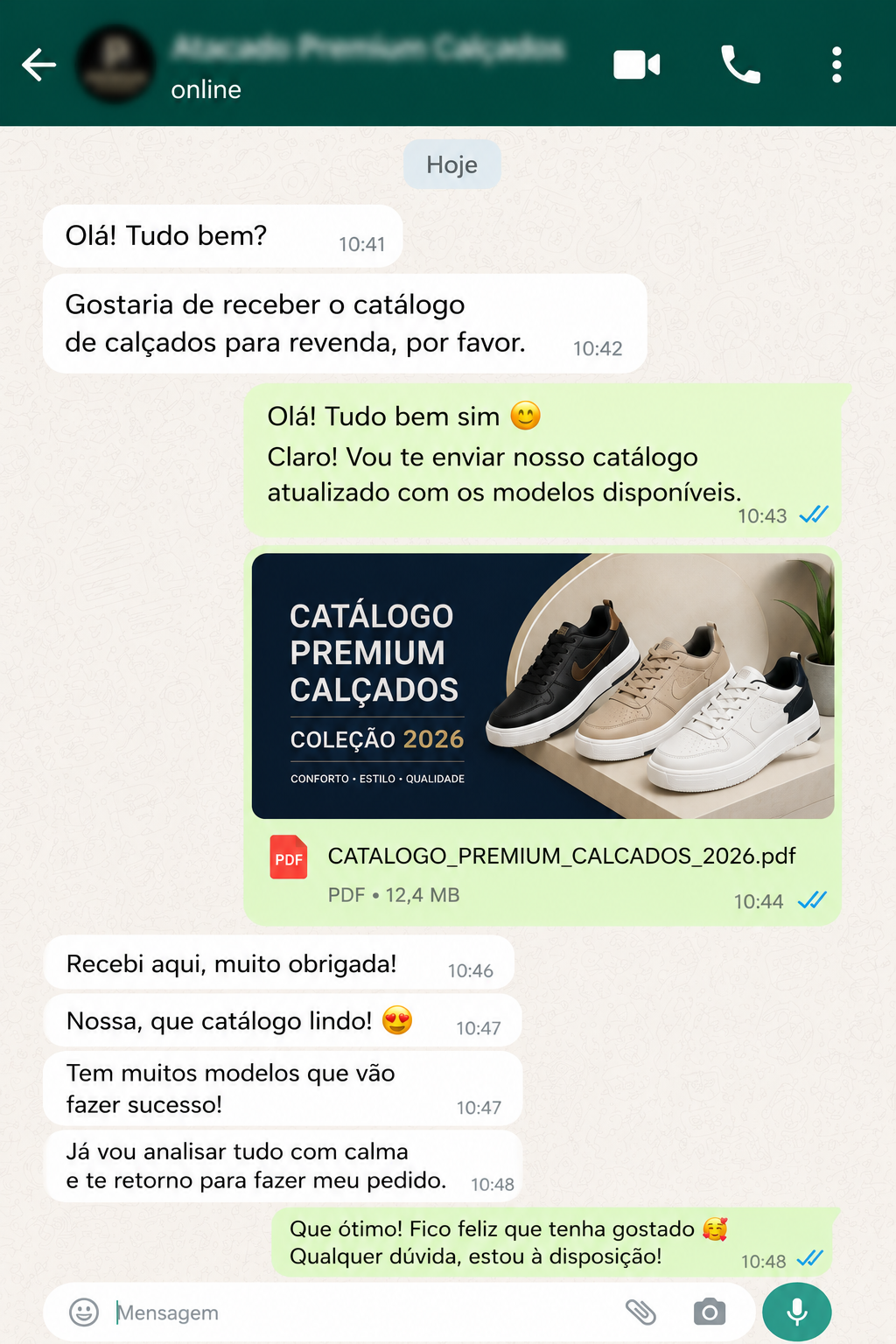WhatsApp fornecedor de calçados